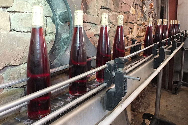 Mise en bouteille du Pinot Noir|htmlentities